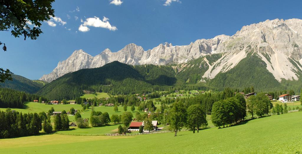 Alpenperle