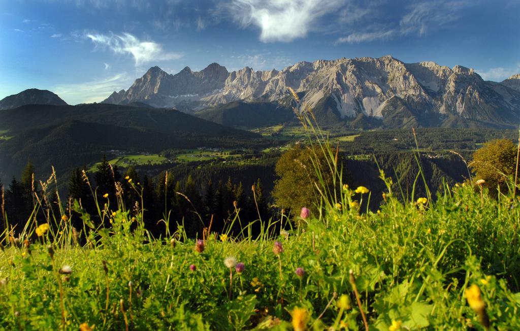 Alpenperle 3* Ramsau am Dachstein